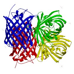 Image of CATH 3tmt