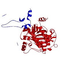 Image of CATH 3tnq