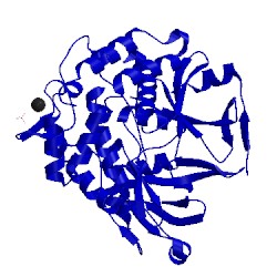 Image of CATH 3tpd