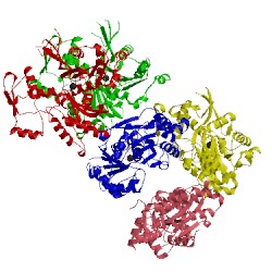 Image of CATH 3tpq