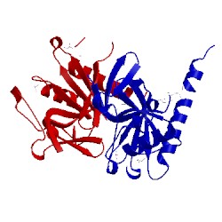 Image of CATH 3tqf