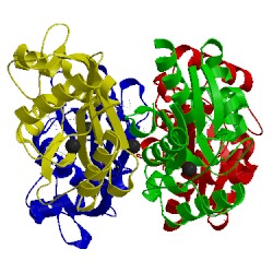 Image of CATH 3tqu