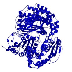 Image of CATH 3tuv