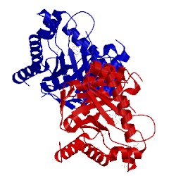 Image of CATH 3tyb