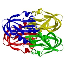 Image of CATH 3tzu