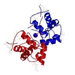 Image of CATH 3u21