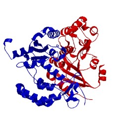 Image of CATH 3u4i