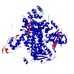 Image of CATH 3u4q