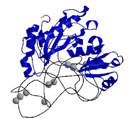 Image of CATH 3u56