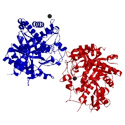 Image of CATH 3u57