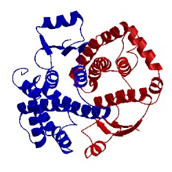 Image of CATH 3u6v