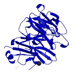 Image of CATH 3uc1