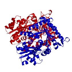 Image of CATH 3ucd