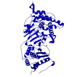 Image of CATH 3uek