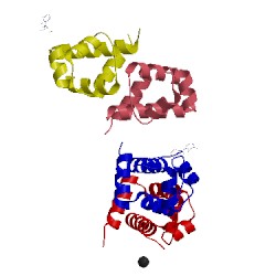 Image of CATH 3ufd