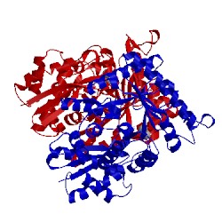 Image of CATH 3ujf