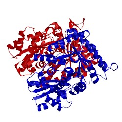 Image of CATH 3ujr