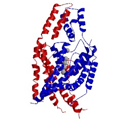 Image of CATH 3um7