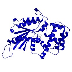 Image of CATH 3ums