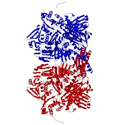 Image of CATH 3una