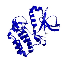 Image of CATH 3uo5