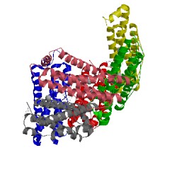 Image of CATH 3uof