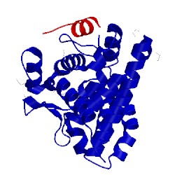 Image of CATH 3up3