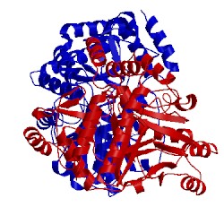 Image of CATH 3usf