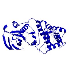 Image of CATH 3uvp