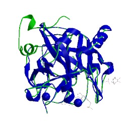 Image of CATH 3uwj