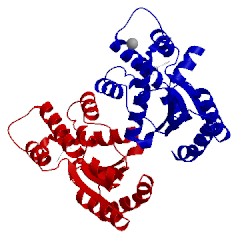 Image of CATH 3uwk
