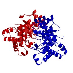 Image of CATH 3uww