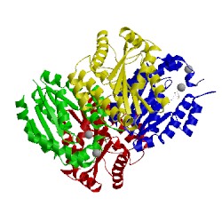 Image of CATH 3uxm