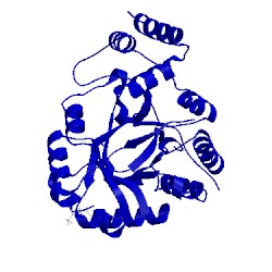 Image of CATH 3uyi