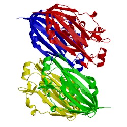 Image of CATH 3uyw