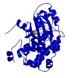 Image of CATH 3v01