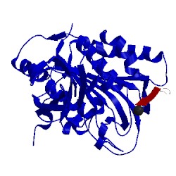 Image of CATH 3v4l