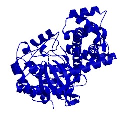 Image of CATH 3v5t