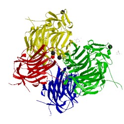 Image of CATH 3v64