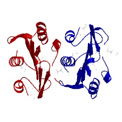 Image of CATH 3v7b
