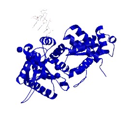 Image of CATH 3v7k