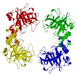 Image of CATH 3v7t