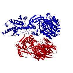 Image of CATH 3v97