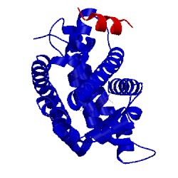 Image of CATH 3v9y