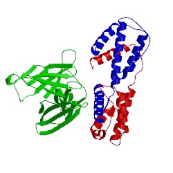 Image of CATH 3va2