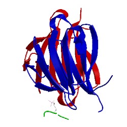 Image of CATH 3va4