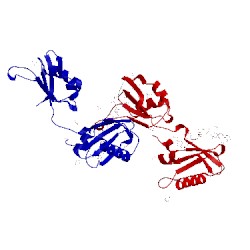 Image of CATH 3vag