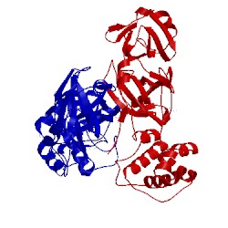 Image of CATH 3vb3