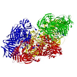 Image of CATH 3vd3