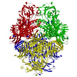 Image of CATH 3vd4